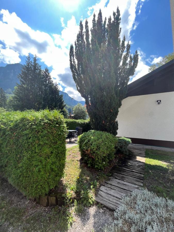 Pod Galetovcem Apartamento Bohinjska Bela Exterior foto